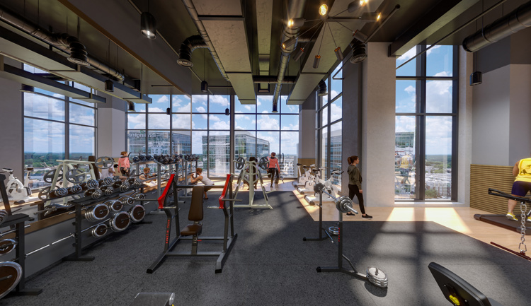 3 Wellness Experience